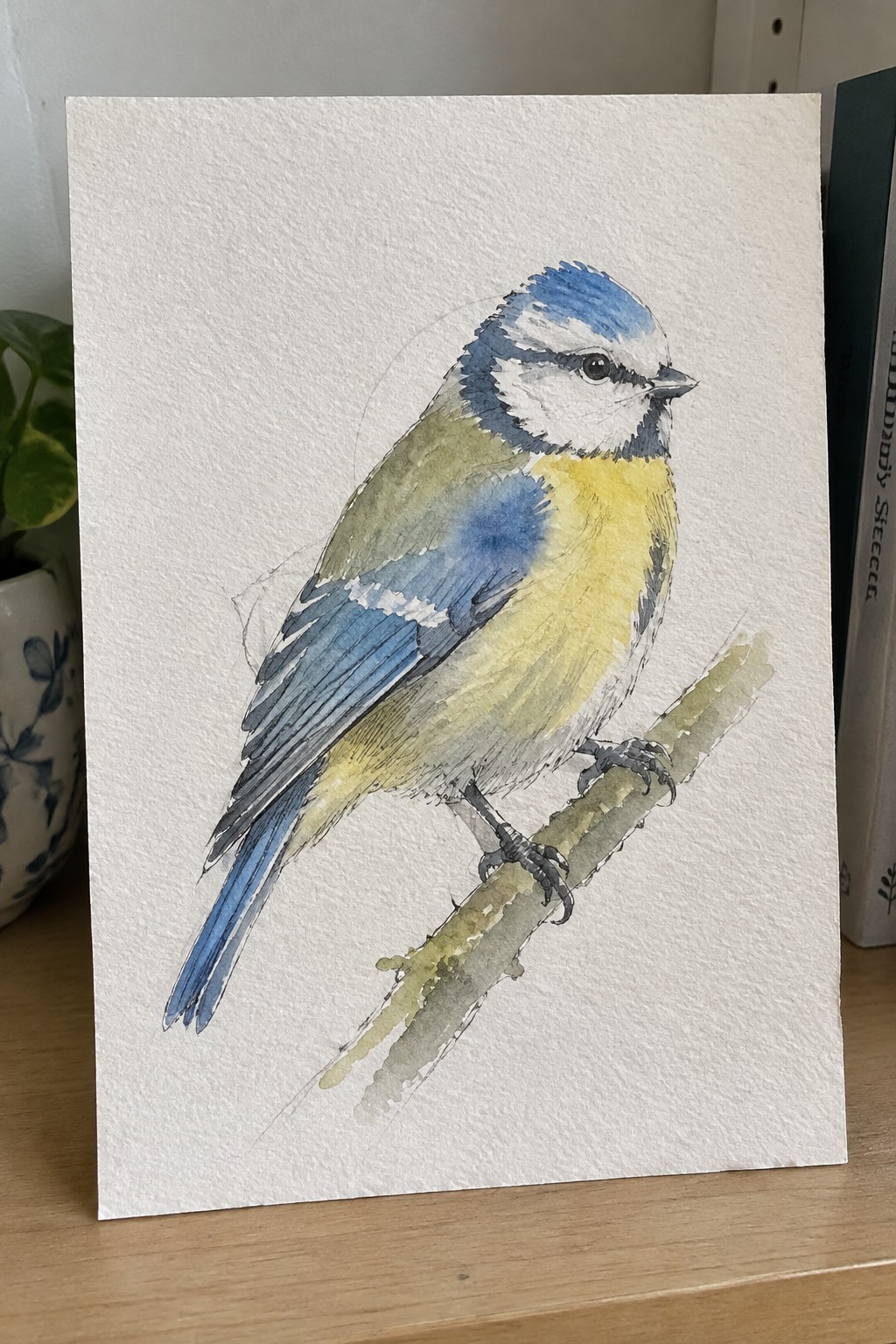 Watercolor painting of blue tit with blue crown, yellow breast, perched on branch