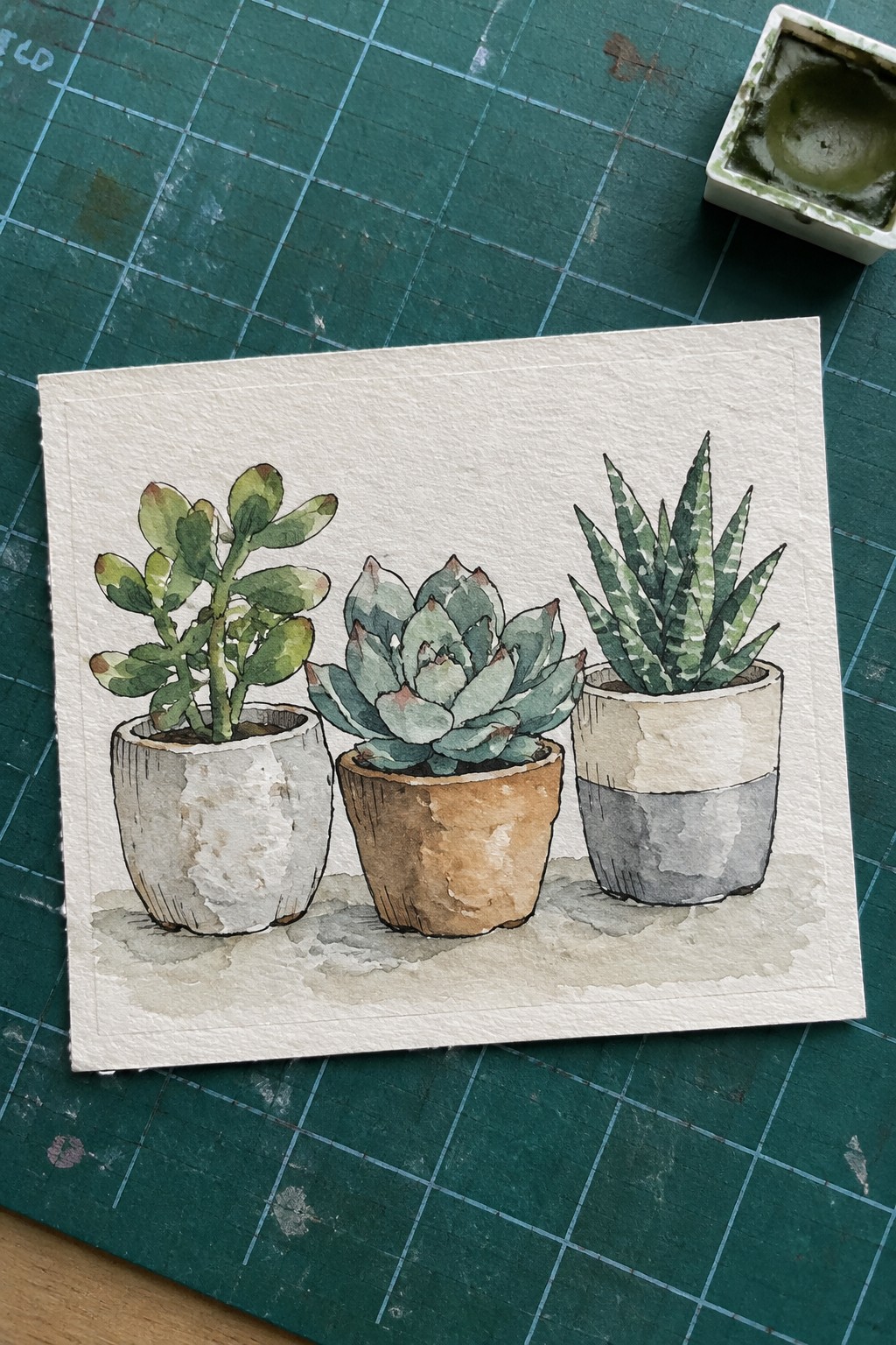 Watercolor painting of three succulents in pots on white paper over green mat.