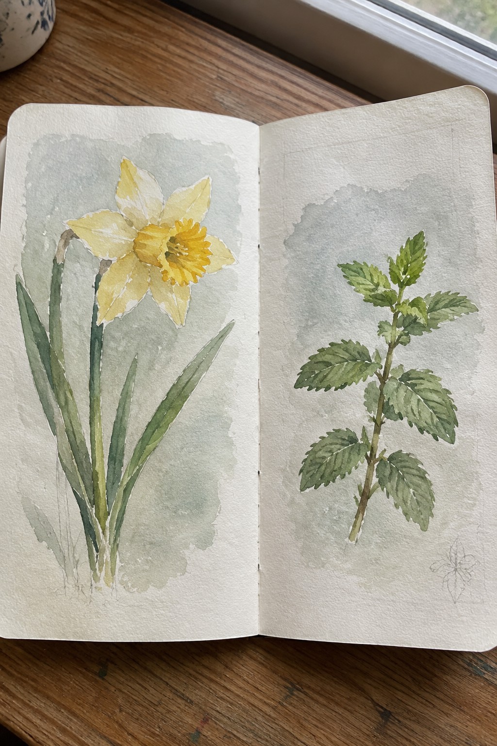 An open sketchbook on a wooden table shows a yellow daffodil watercolor on the left page and a green leafy plant watercolor on the right page.