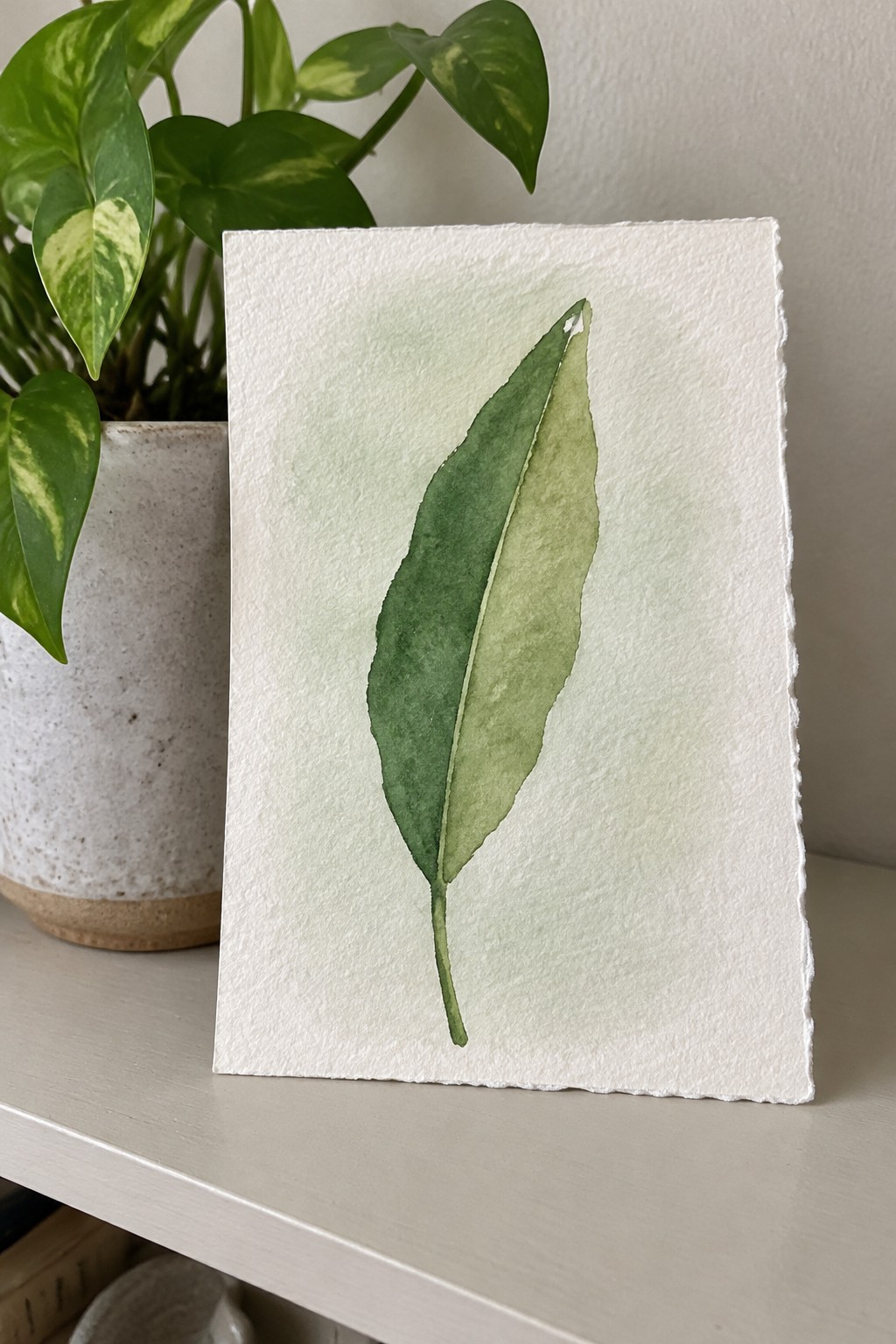 Watercolor green leaf on white paper beside variegated potted plant on shelf.
