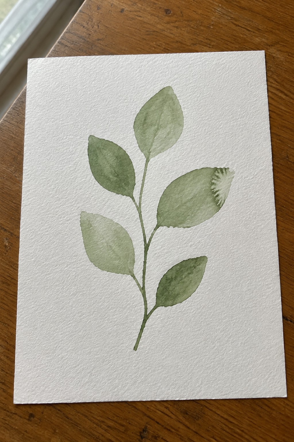Watercolor of green leafy branch on textured white paper over wooden table