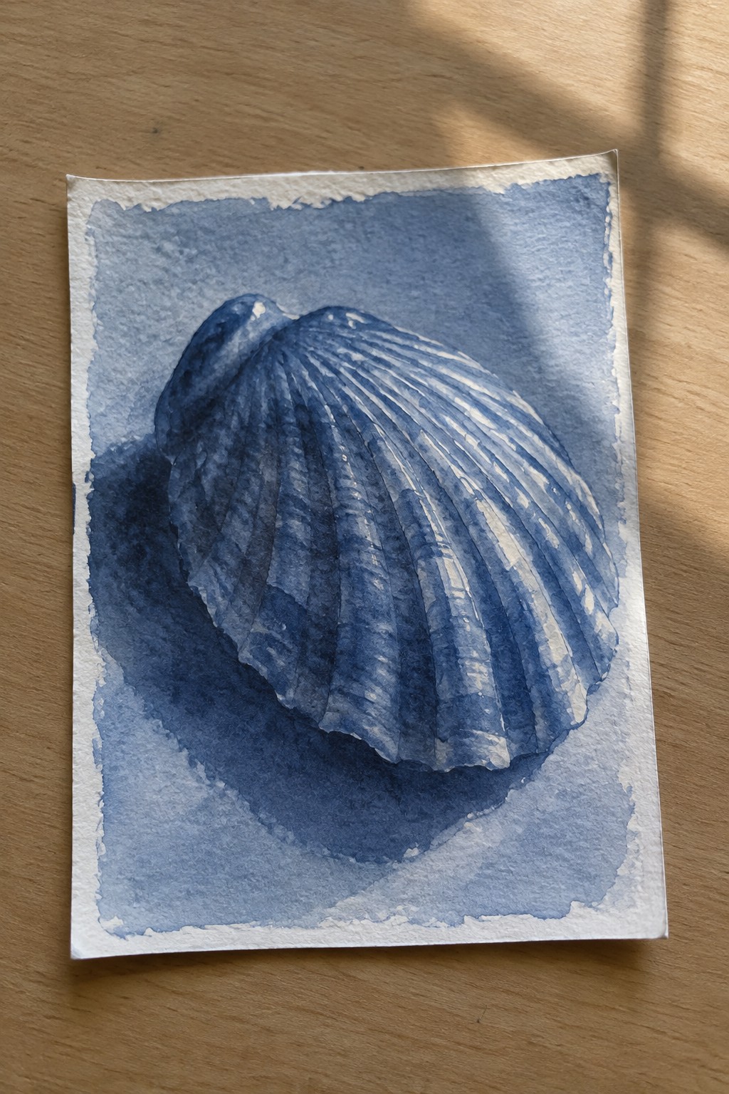 Blue scallop shell watercolor on textured paper casting shadow on wooden surface