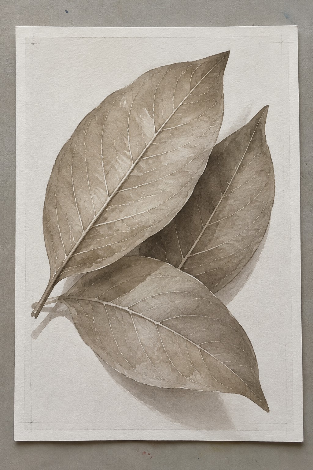 Sepia watercolor of overlapping leaves with detailed veins on bordered white paper