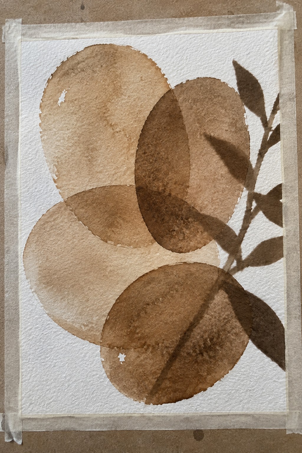 Overlapping brown watercolor circles with plant leaf shadows on white paper