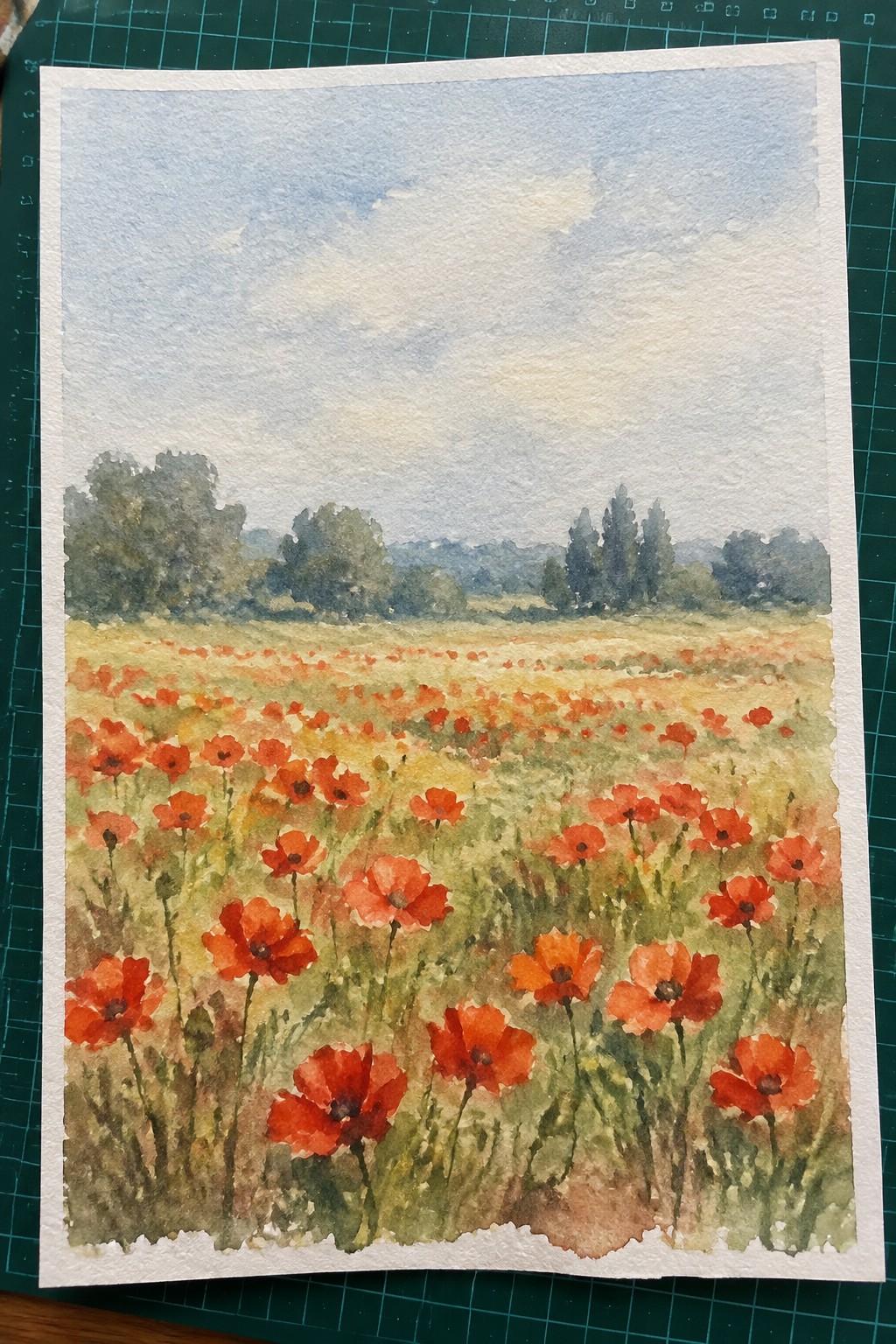 Watercolor painting of red poppies blooming across a grassy field with distant trees and blue sky.