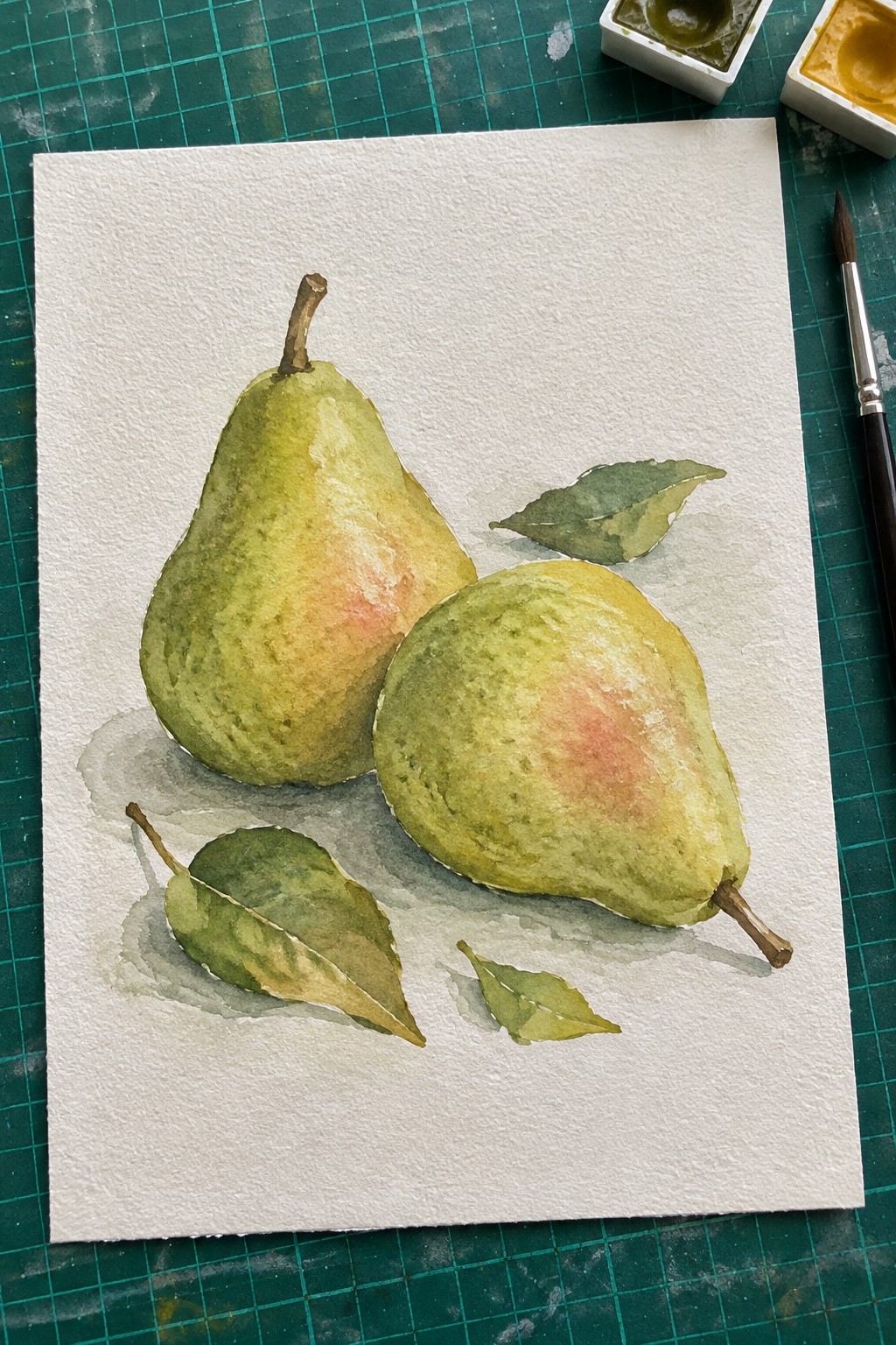 Watercolor painting of two pears with green and yellow washes and several leaves on white paper.