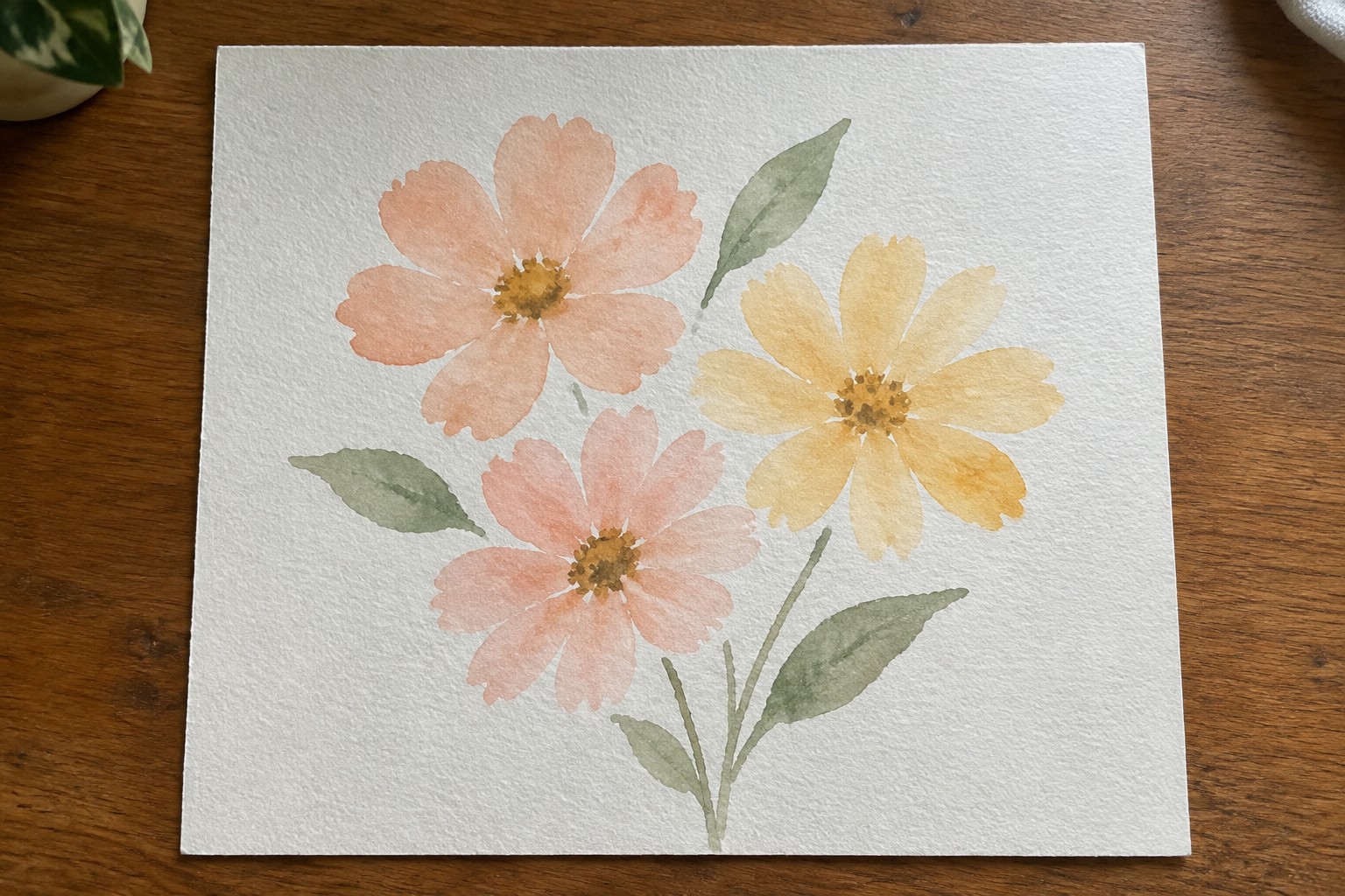 Watercolor painting of three daisy flowers in peach and yellow with green stems and leaves