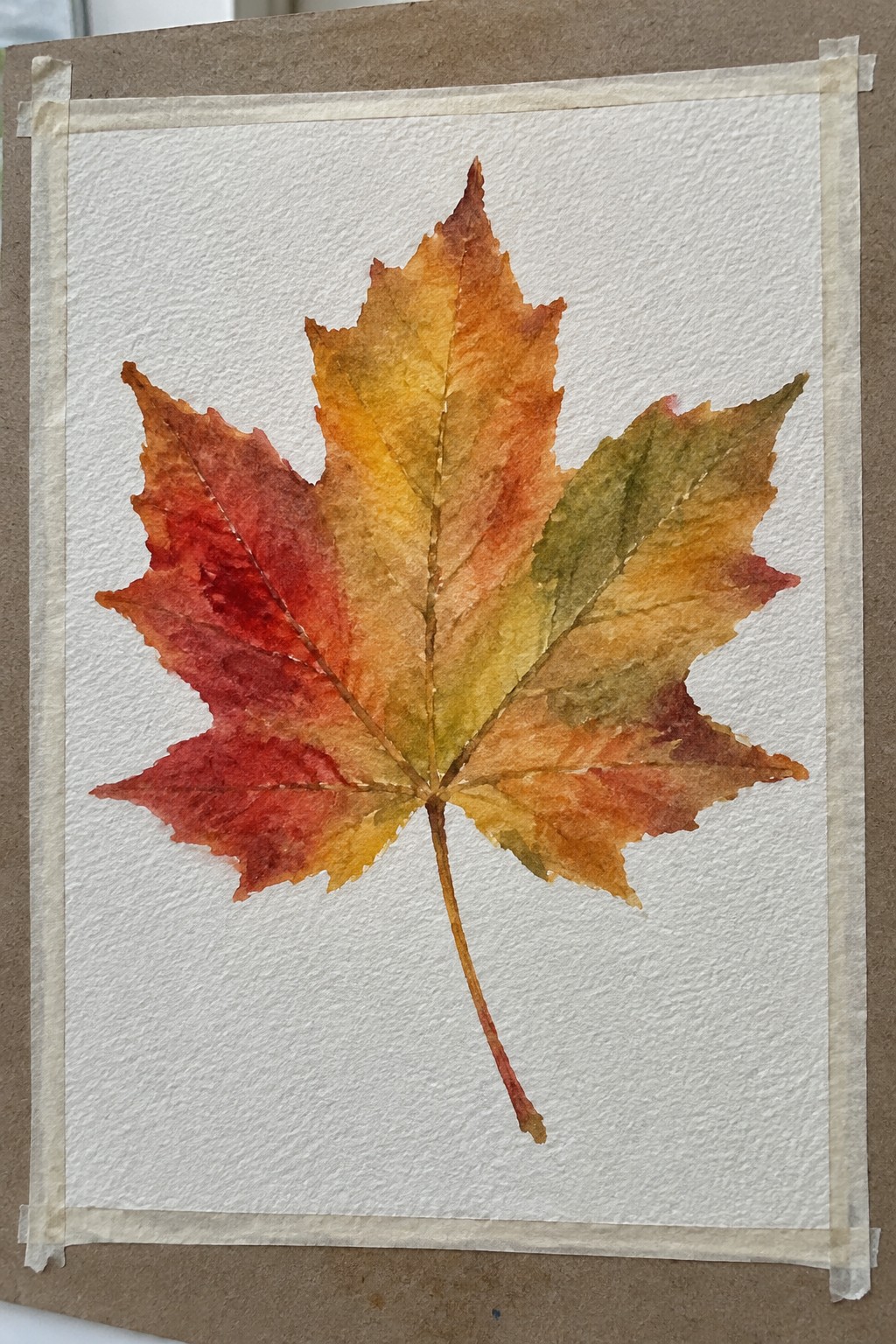 Vibrant watercolor maple leaf in red orange yellow tones on taped paper