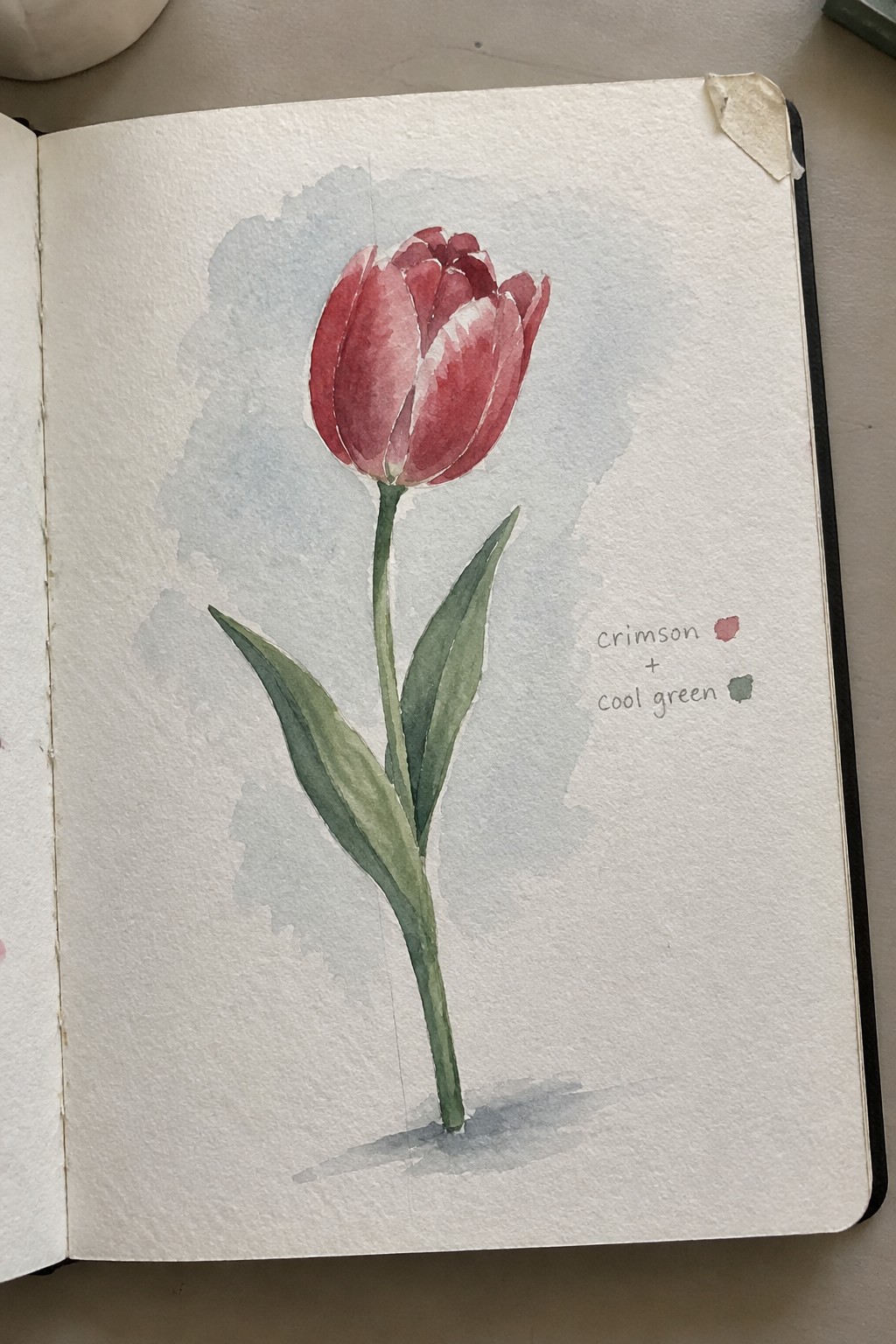 Watercolor painting of red tulip with green stem in open sketchbook beside color labels