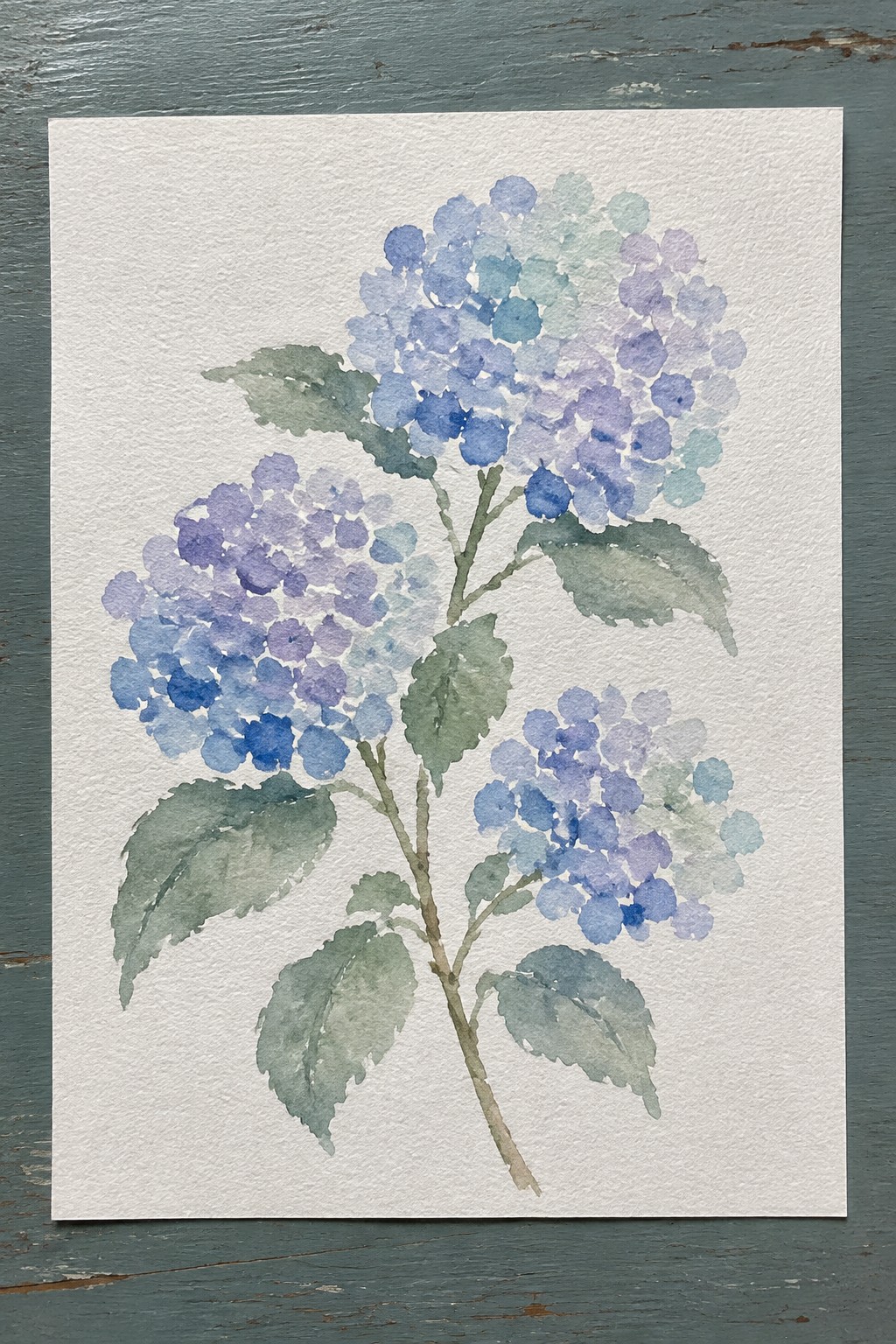 Watercolor painting of blue and purple hydrangeas with green leaves on white paper