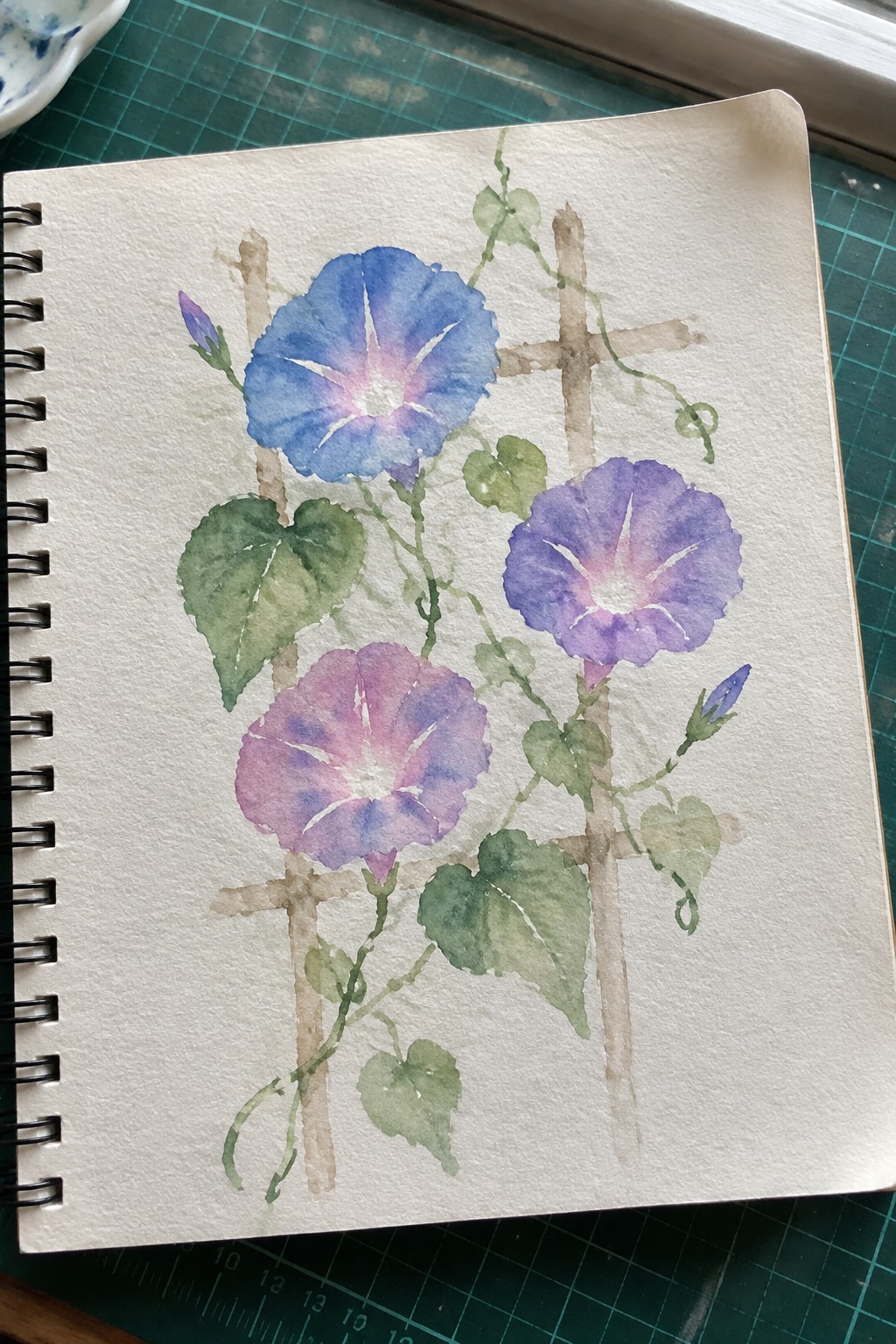 Watercolor painting of blue, purple, and pink morning glories on a wooden trellis in a sketchbook.