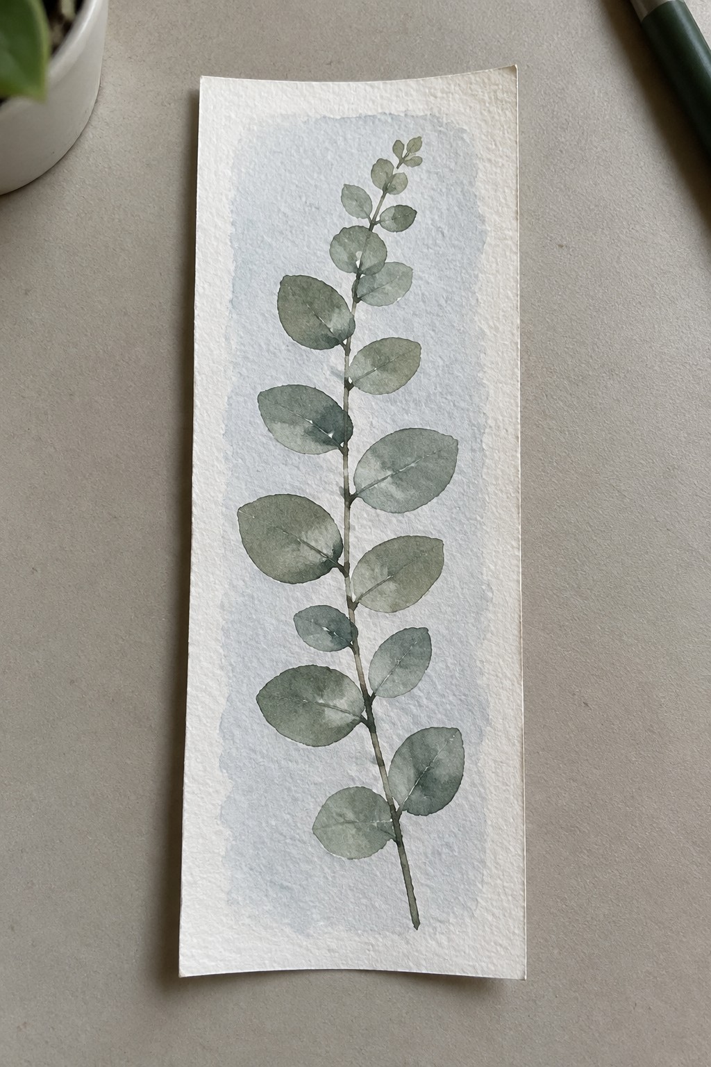 Watercolor eucalyptus branch in muted greens on tall white paper with blue wash