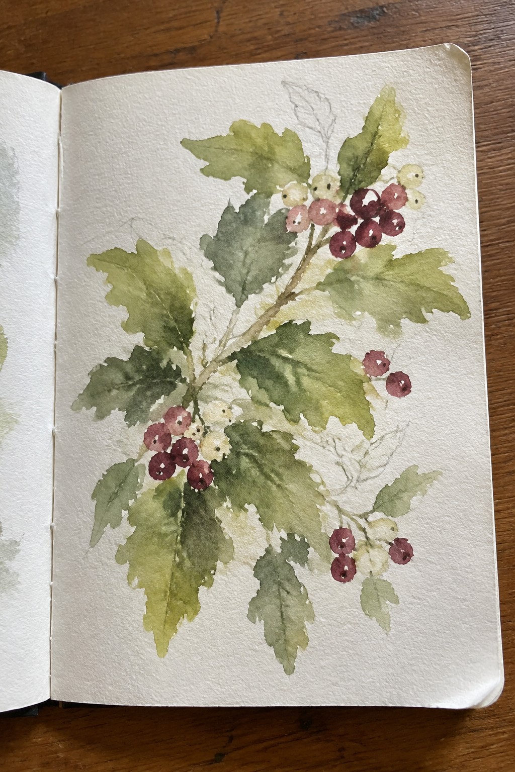 Open sketchbook on wood with loose watercolor of leafy branches and red-pink berries