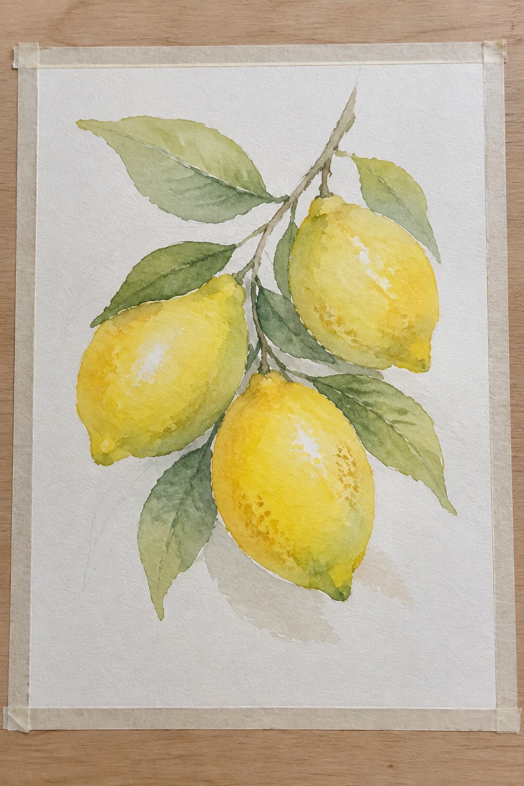 Watercolor of three yellow lemons on a branch with green leaves