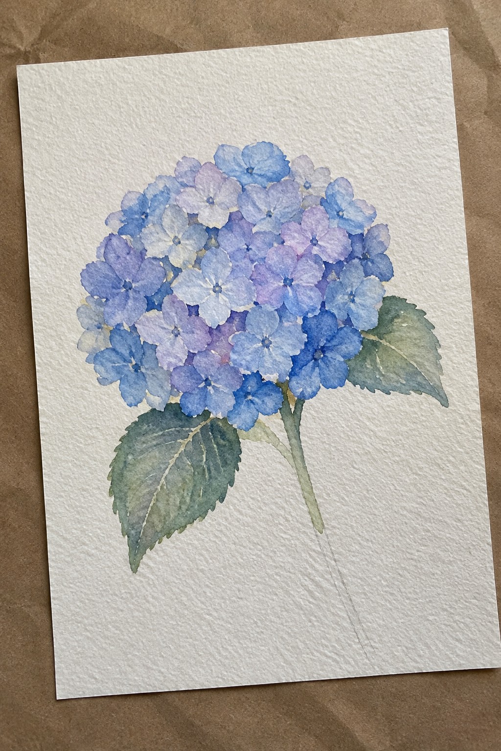 Watercolor painting of blue and purple hydrangea flowers with green leaves on white paper