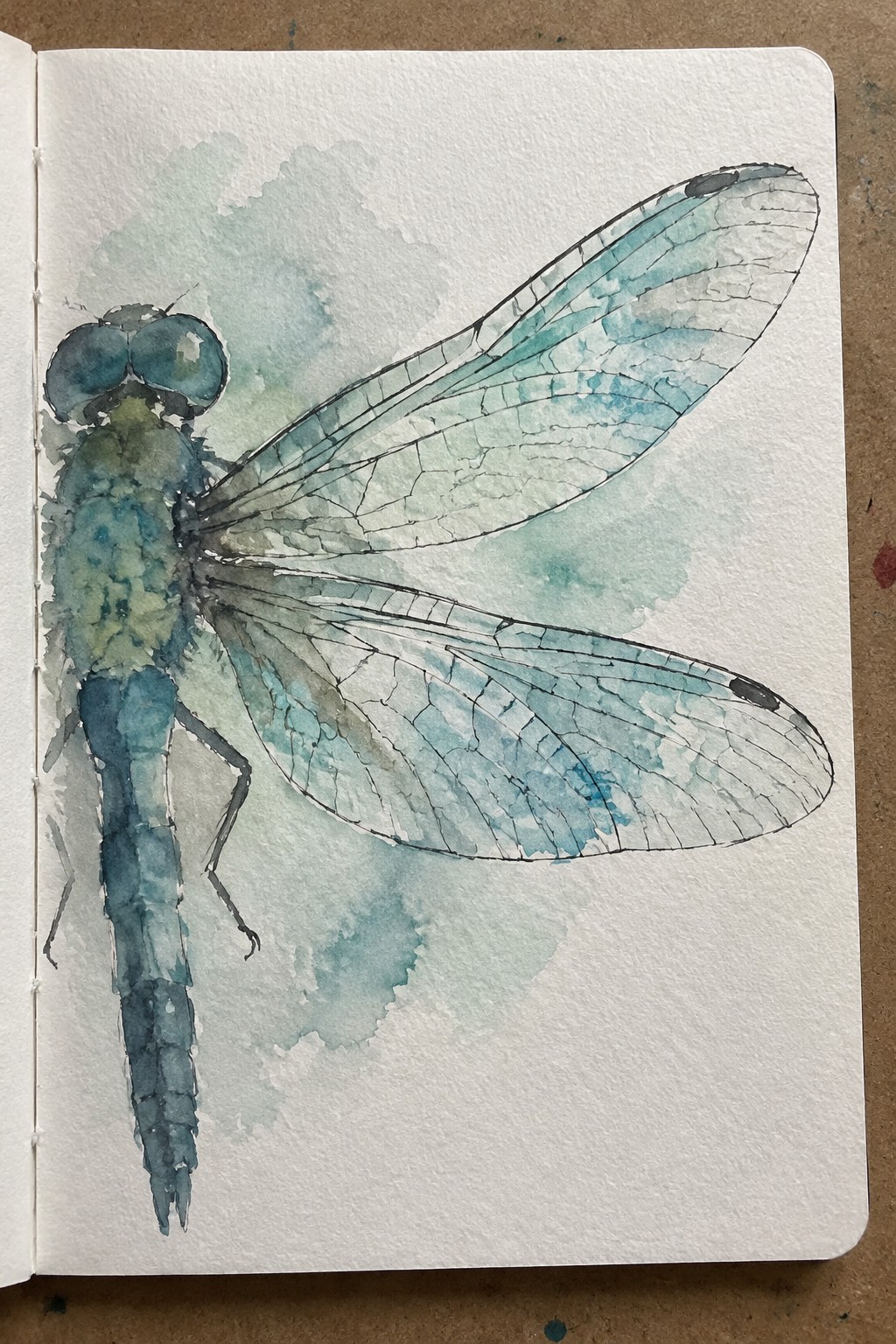 A blue-green dragonfly painted in watercolor with black ink wing lines sits on an open sketchbook page with soft background washes.