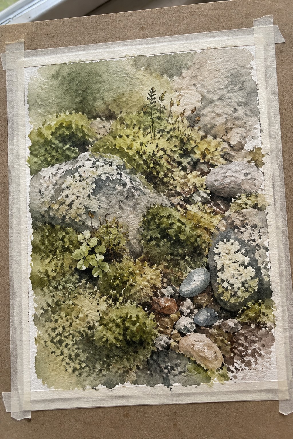 Watercolor of lichen-covered rocks, moss, and pebbles taped to brown surface
